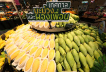 โลตัส สนับสนุนเกษตรกรสวนมะม่วง รับซื้อมะม่วงกว่า 3,200 ตัน จับมือกรมการค้าภายใน เปิดตัว “เทศกาลมะม่วงและผองเพื่อน” ชวนคนไทยบริโภคผลไม้ไทย