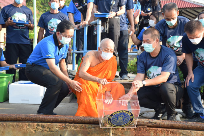 กรมประมง...ปล่อยพันธุ์ปูคืนสู่ทะเลบางขุนเทียน หนุนฟื้นฟูทรัพยากรประมงชายฝั่ง สร้างความยั่งยืนในการประกอบอาชีพให้เกษตรกรชาวประมง