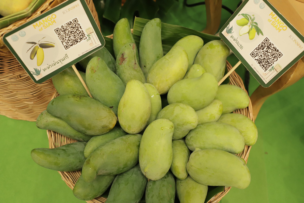 งาน “Mango of SIAM ที่สุดแห่งมะม่วงไทย ถูกใจทั่วโลก” 