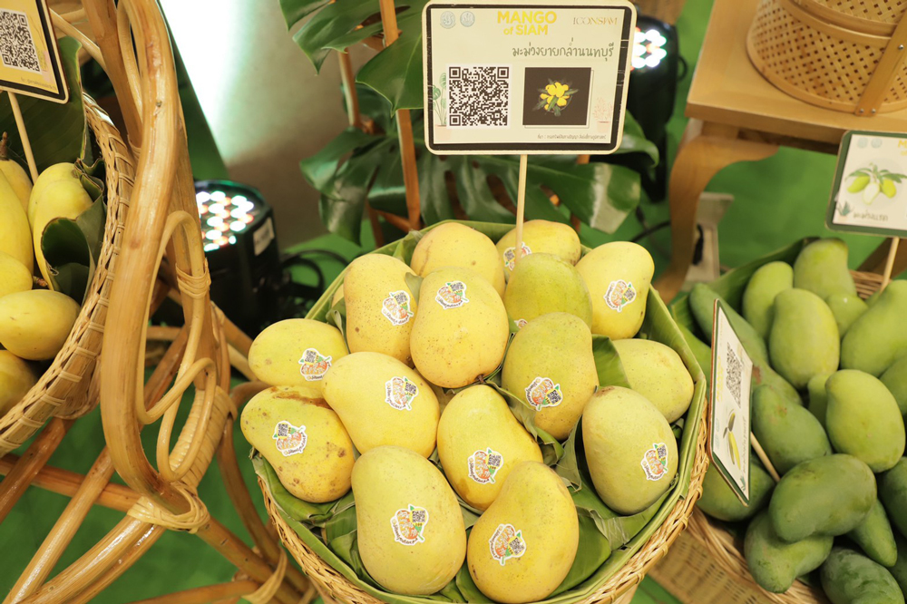 งาน “Mango of SIAM ที่สุดแห่งมะม่วงไทย ถูกใจทั่วโลก” 