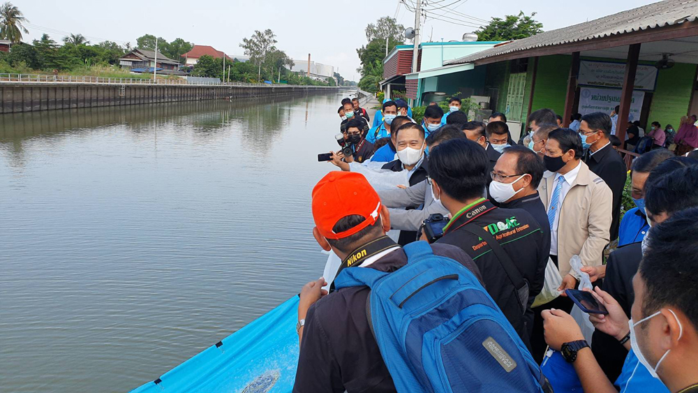 ปล่อยพันธุ์ปลาที่ท่าน้ำวัดพลมานีย์...คลองประเวศบุรีรมย์