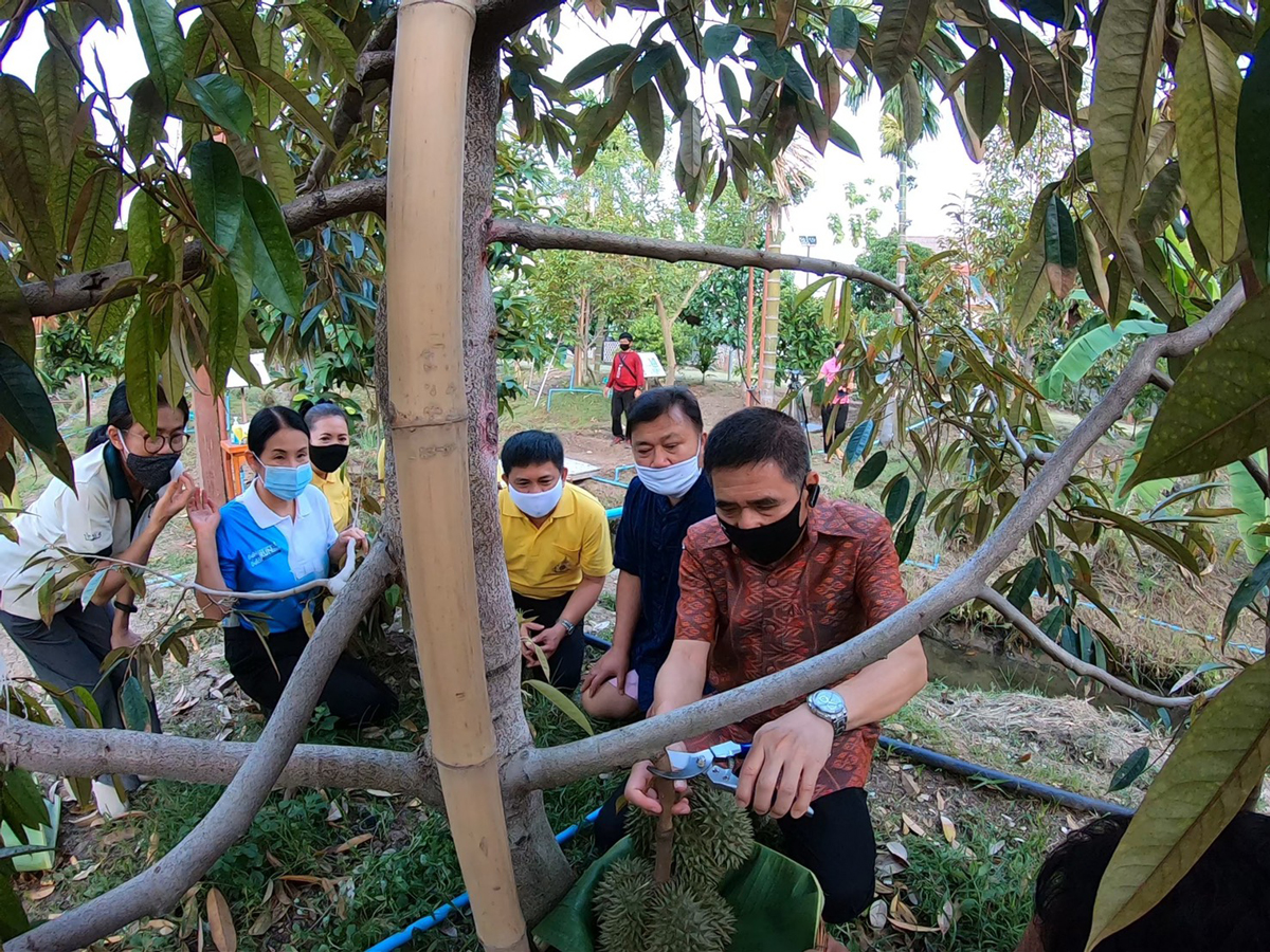 ชวนติดตาม “ทุเรียนพื้นเมืองนนท์ 60 สายพันธุ์” ภายใต้โครงการอนุรักษ์สวนทุเรียนนนทบุรี 