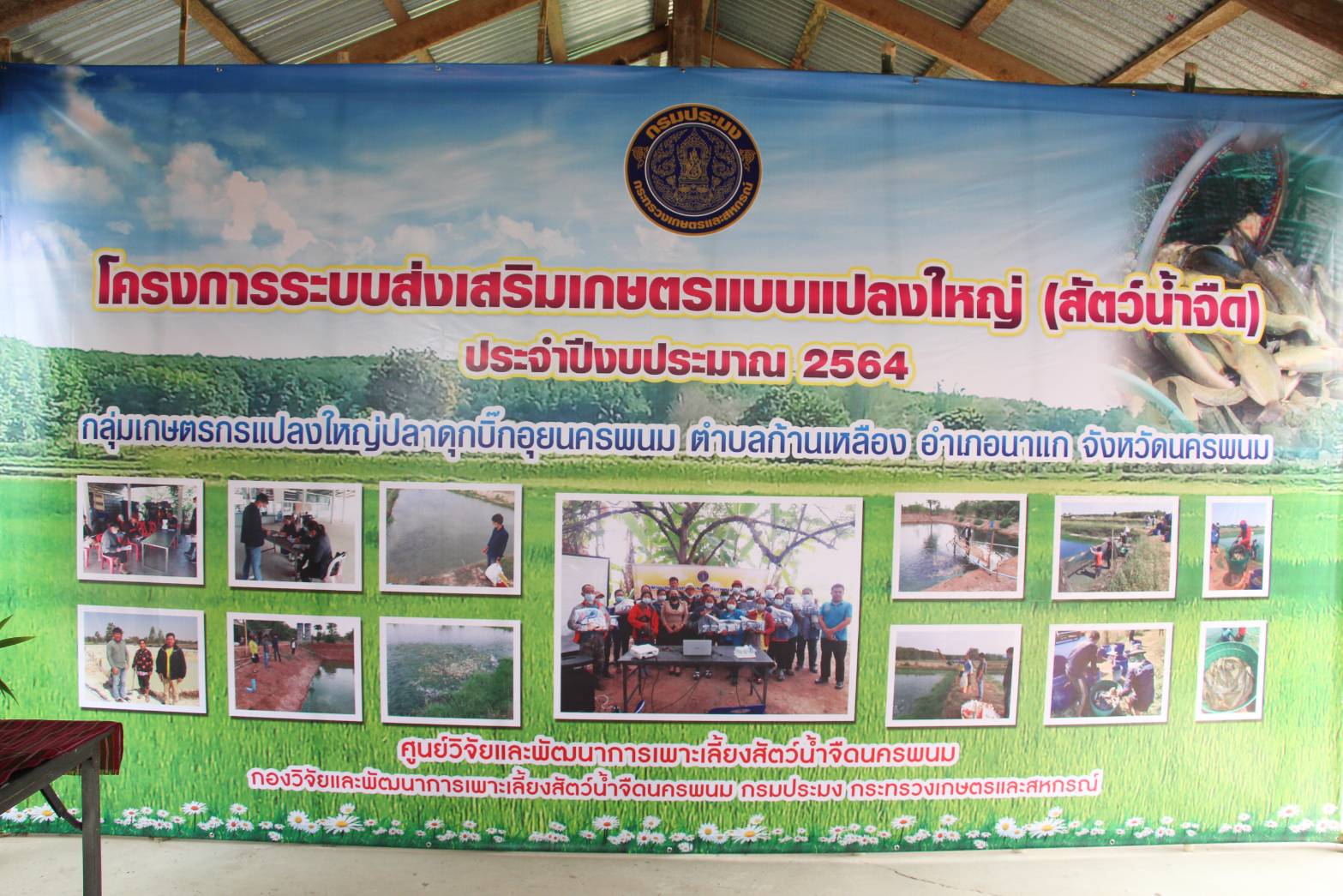 กรมประมงโชว์แปลงใหญ่ “ปลาดุกบิ๊กอุย” นครพนมต้นแบบทำตลาดแปรรูปได้เจ๋ง!