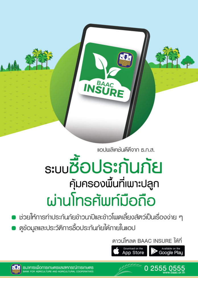 ธ.ก.ส. พร้อมรับทำประกันภัยข้าวโพดเลี้ยงสัตว์ ปีการผลิต 2564