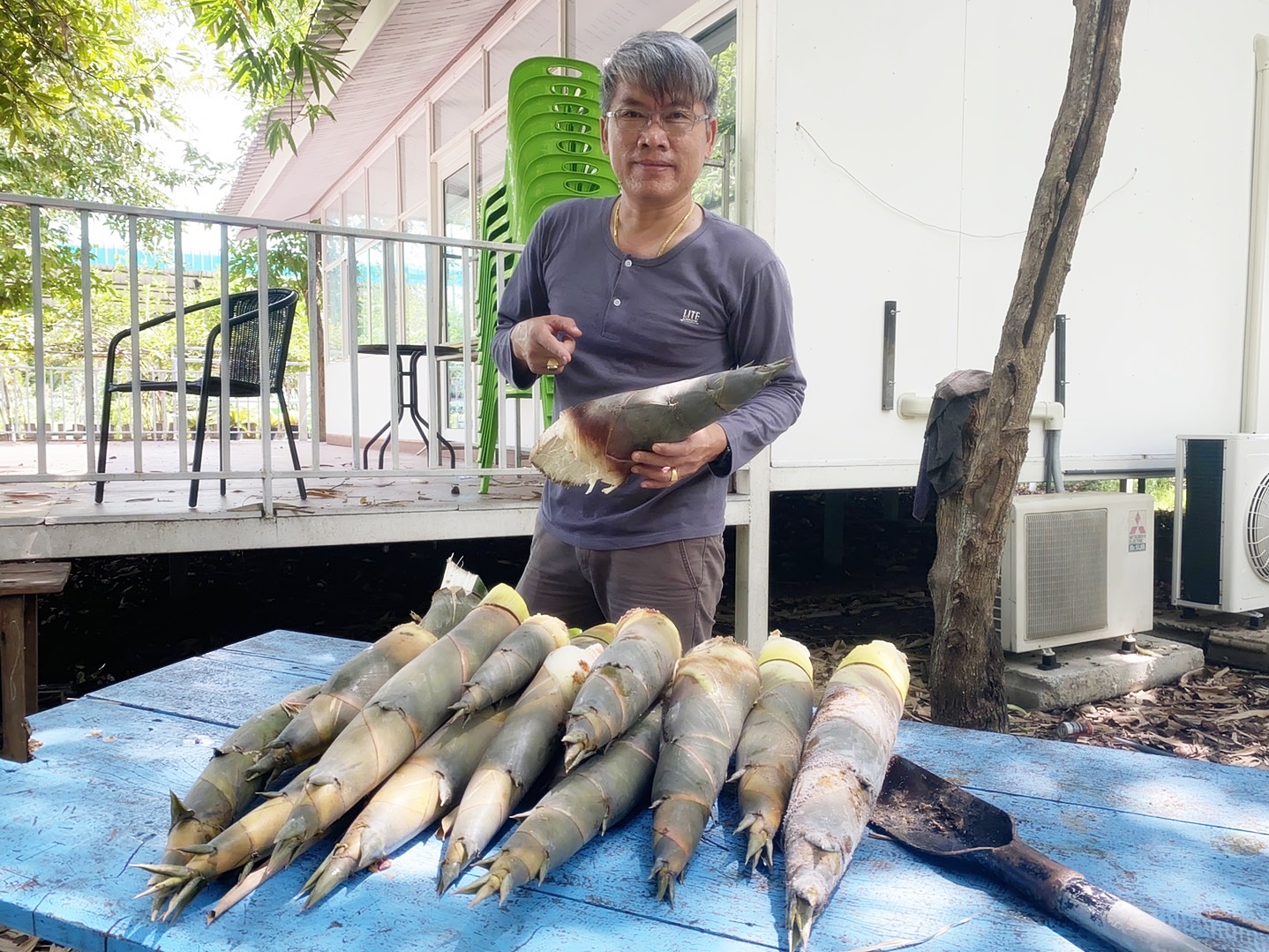 รร.เลี้ยงไก่ไข่เพื่ออาหารกลางวันนักเรียน สร้างความมั่นคงทางอาหาร คลังเสบียงหนุนชุมชน ฝ่าโควิด-19