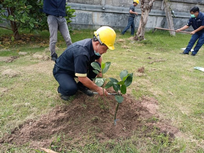 โรงงาน-ฟาร์ม CPF ทั่วประเทศ ร่วมปลูกต้นไม้ ลดปล่อยก๊าซเรือนกระจก สร้างสิ่งแวดล้อมที่ดีอย่างยั่งยืน