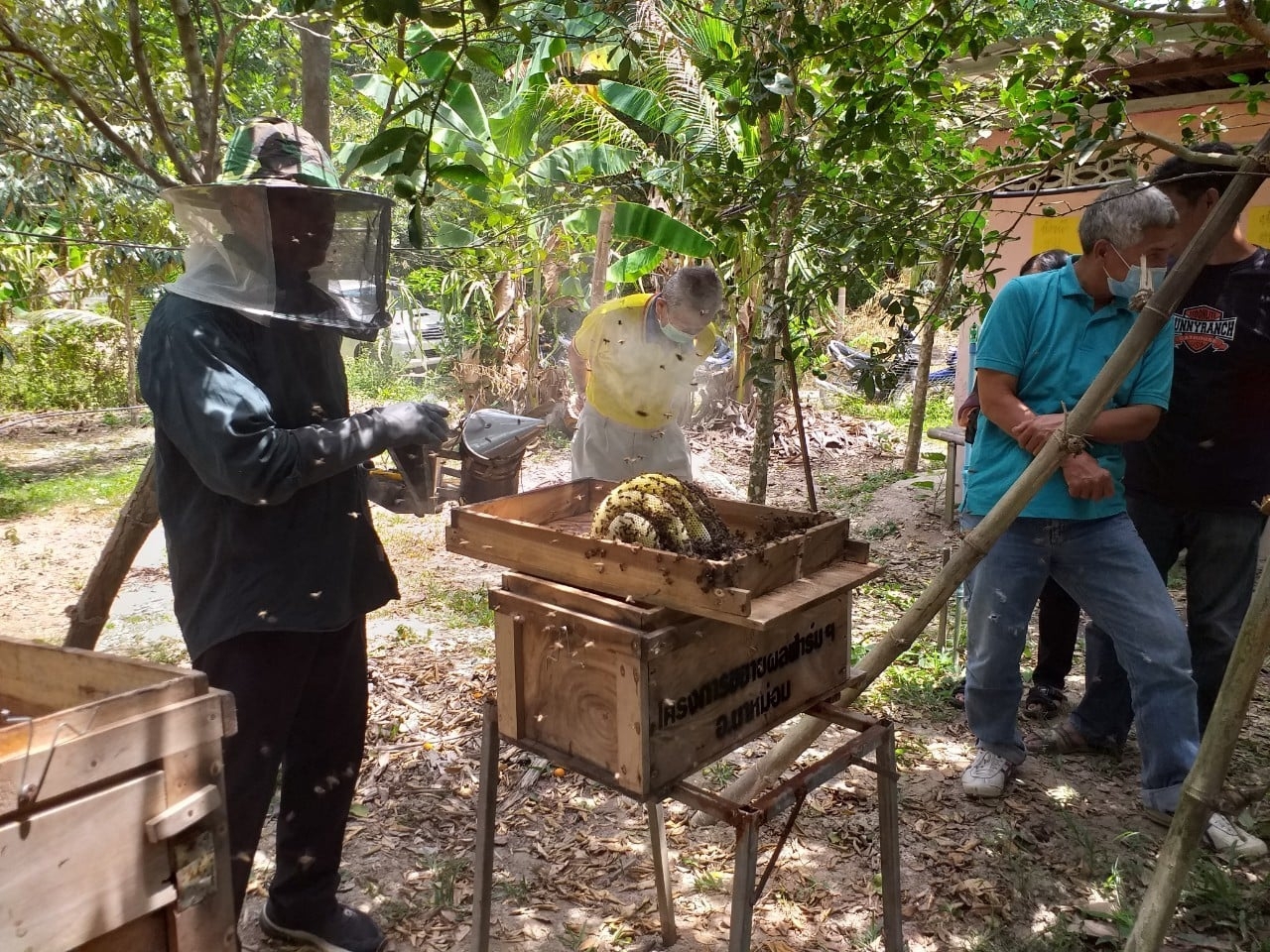 กรมส่งเสริมการเกษตร เชิญชมการถ่ายทอดสดงานวันผึ้งโลก