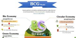 เกษตรฯ ตั้งเป้า ตามแผน BCG โมเดลวาระแห่งชาติ ดันประเทศไทย สู่ 3 สูง ‘ประสิทธิภาพสูง มาตรฐานสูง และ รายได้สูง’