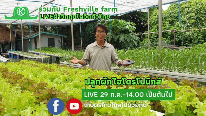 เรียนออนไลน์ฟรี!! ปลูกผักไฮโดรโปนิกส์ฝ่าวิกฤตโควิด เกษตรก้าวไกลจับมือ Freshville farm