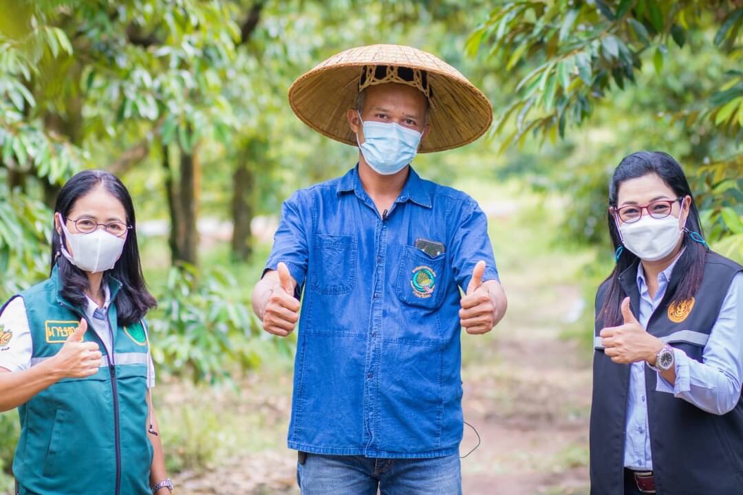 เกษตรฯ แจงผลการดำเนินงานโครงการยกระดับแปลงใหญ่ด้วยเกษตรสมัยใหม่และเชื่อมโยงตลาด ด้านพืช ยกเว้นข้าว ทำได้แล้ว 100%  