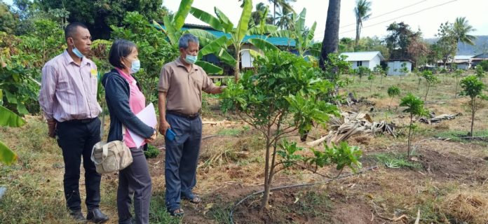 สศท.2 ชู “สมุนไพร” สินค้า Future Crop สร้างรายได้ โอกาสโตช่วงโควิด-19 แนะเกษตรกร ผู้ประกอบการ ให้ความสำคัญคุณภาพและมาตรฐานสินค้า