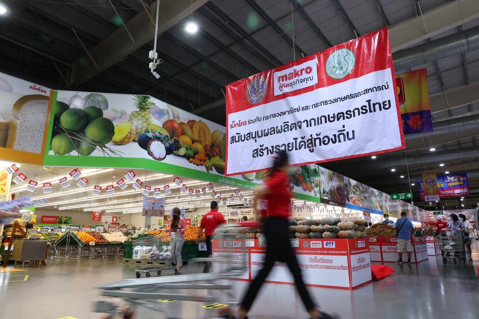 แม็คโคร รับซื้อตรงมังคุดใต้กว่า 300 ตัน ช่วยชาวสวนฝ่าวิกฤตโควิด เร่งกระจายทั่วประเทศ