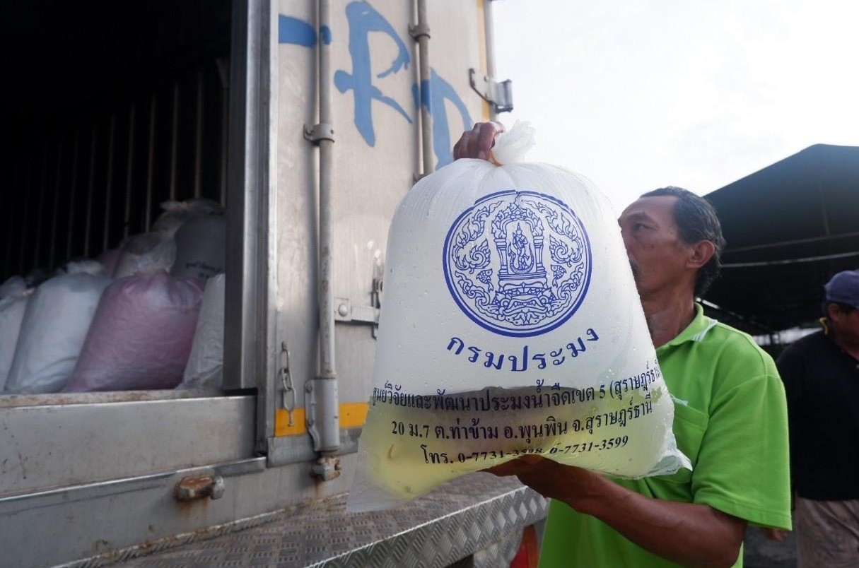 กรมประมง...เร่งเพาะพันธุ์ปลา "ตะพัดเขียว" ปล่อย 200 ตัว กลับคืนสู่เขื่อนรัชชประภา