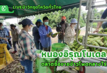 เกษตรกรชลบุรีเปิดตลาดซื้อขายข้าวโพดกลางไร่ “หนองอิรุณโมเดล” สร้างเศรษฐกิจชุมชนสุดเจ๋ง!!!