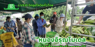 เกษตรกรชลบุรีเปิดตลาดซื้อขายข้าวโพดกลางไร่ “หนองอิรุณโมเดล” สร้างเศรษฐกิจชุมชนสุดเจ๋ง!!!