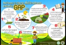 เกษตรฯ ปรับแผนตรวจแปลงช่วงโควิดผ่านระบบออนไลน์