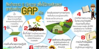 เกษตรฯ ปรับแผนตรวจแปลงช่วงโควิดผ่านระบบออนไลน์