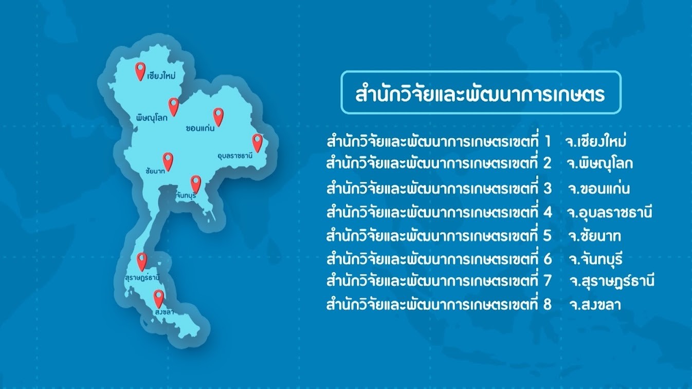 เกษตรฯ ปรับแผนตรวจแปลงช่วงโควิดผ่านระบบออนไลน์