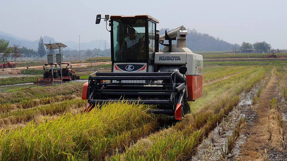 สยามคูโบต้า ประกาศเป็น The Most Trusted Brand เคียงข้างเกษตรกรไทยในทุกสถานการณ์