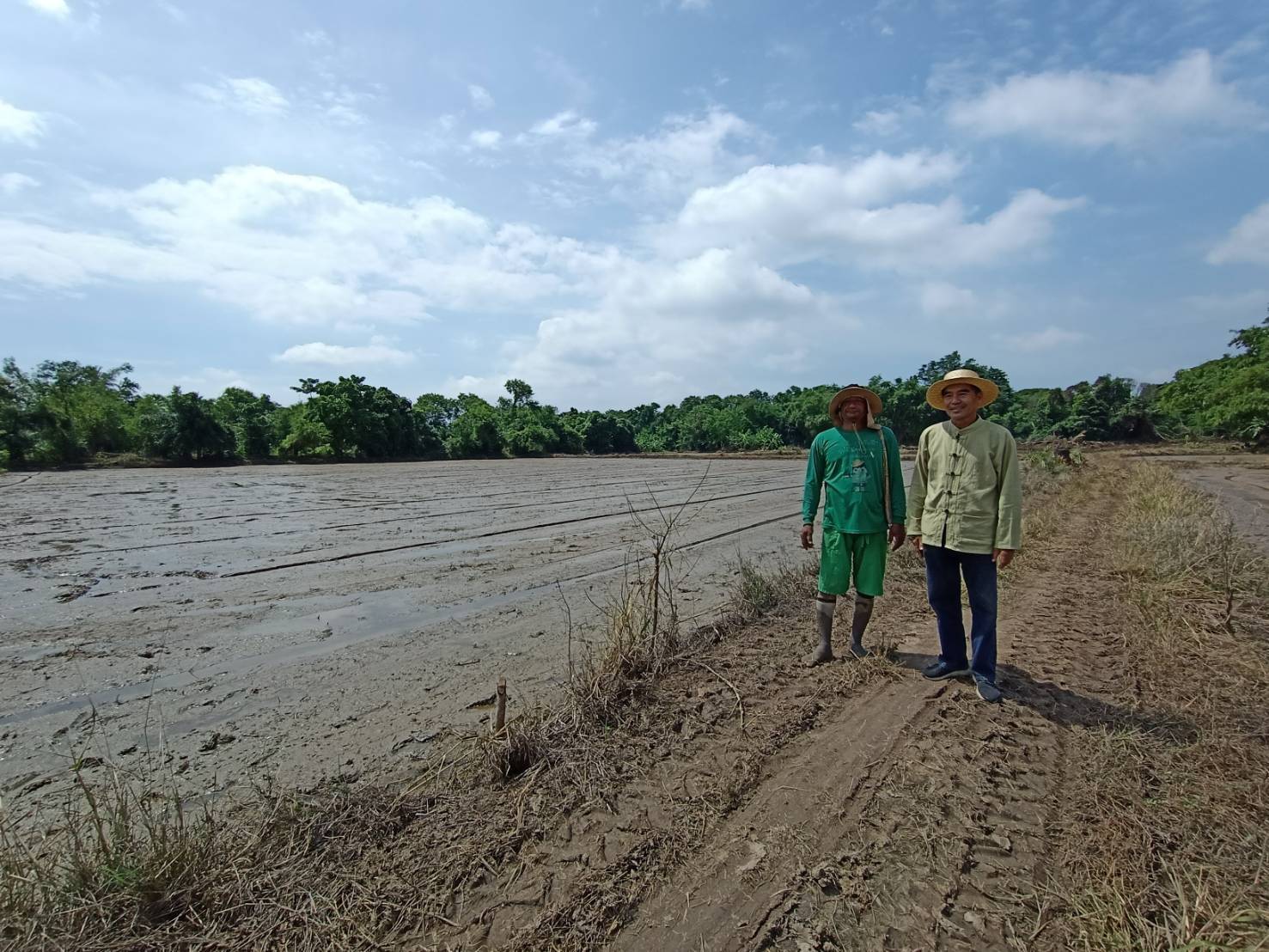 สภาเกษตรกรเสนอ “ท้ายน้ำทำนาก่อน ไม่มีน้ำทำนารับชดเชยด้วย”