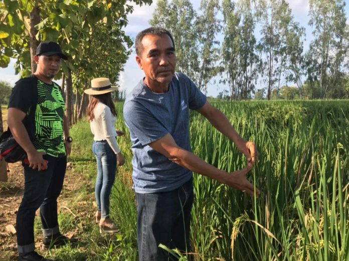 สภาเกษตรกรเสนอ “ท้ายน้ำทำนาก่อน ไม่มีน้ำทำนารับชดเชยด้วย”