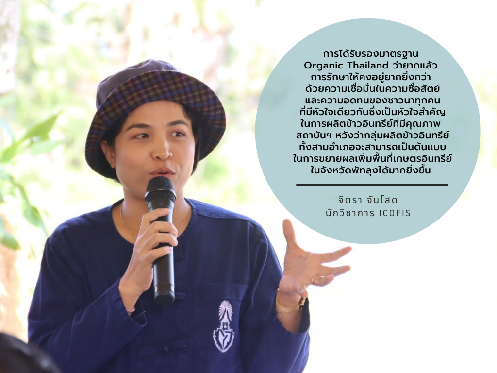 ม.ทักษิณ ขับเคลื่อนกลุ่มผลิตข้าวอินทรีย์ พลิกผืนนาเมืองลุงกว่า 800 ไร่ ผ่านมาตรฐาน Organic Thailand