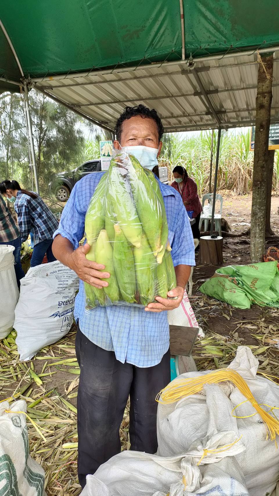 เกษตรกรชลบุรีเปิดตลาดซื้อขายข้าวโพดกลางไร่ “หนองอิรุณโมเดล” สร้างเศรษฐกิจชุมชนสุดเจ๋ง!!!