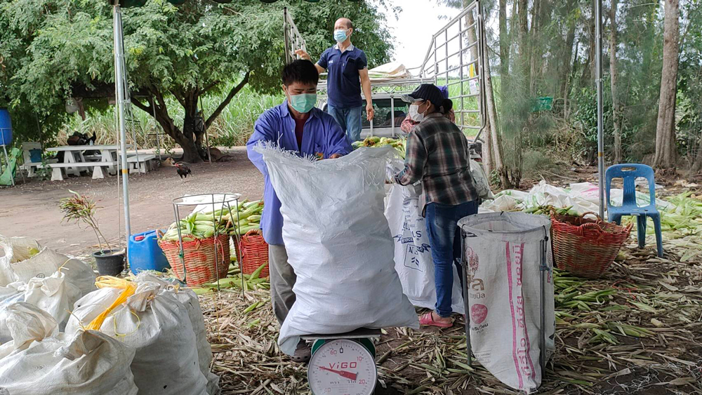 เกษตรกรชลบุรีเปิดตลาดซื้อขายข้าวโพดกลางไร่ “หนองอิรุณโมเดล” สร้างเศรษฐกิจชุมชนสุดเจ๋ง!!!