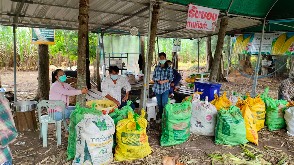 เกษตรกรชลบุรีเปิดตลาดซื้อขายข้าวโพดกลางไร่ “หนองอิรุณโมเดล” สร้างเศรษฐกิจชุมชนสุดเจ๋ง!!!