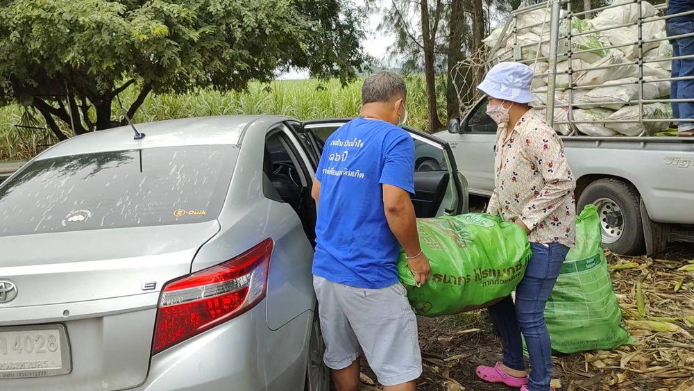 เกษตรกรชลบุรีเปิดตลาดซื้อขายข้าวโพดกลางไร่ “หนองอิรุณโมเดล” สร้างเศรษฐกิจชุมชนสุดเจ๋ง!!!