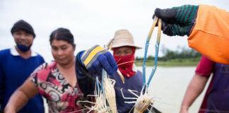 เกษตรกรผู้เลี้ยงกุ้งกาฬสินธุ์ รวมกลุ่มสู้โควิด-19 รับแรงงานคืนถิ่น เดินหน้าเลี้ยง “กุ้งก้ามกราม” มาตรฐาน GAP ส่งแม็คโครทั่วอีสาน เพิ่มโอกาสในวิกฤต