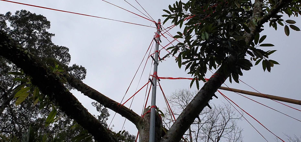 ย่างเข้าหน้าฝนระวังไฟทอปธอรา “รากเน่าโคนเน่าทุเรียน” ถ้ารักษาไม่ทันมีสิทธิ์ยืนต้นตายได้