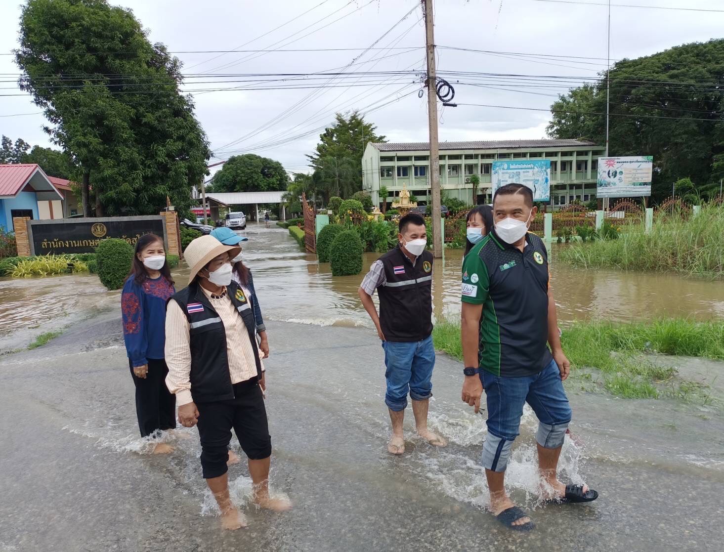 เฉลิมชัย สั่งกรมส่งเสริมการเกษตร รุดช่วยเกษตรกรสุโขทัย เตรียมมอบชุดพืชพันธุ์ดี และไตรโคเดอร์มา ฟื้นฟูหลังน้ำลด