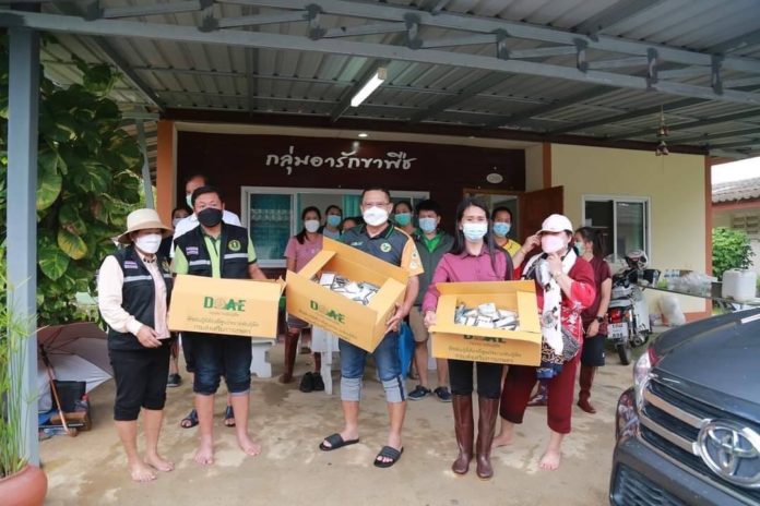 เฉลิมชัย สั่งกรมส่งเสริมการเกษตร รุดช่วยเกษตรกรสุโขทัย เตรียมมอบชุดพืชพันธุ์ดี และไตรโคเดอร์มา ฟื้นฟูหลังน้ำลด