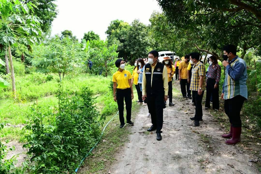 กรมส่งเสริมสหกรณ์ สนองพระราชดำริ สืบสาน รักษา ต่อยอด โครงการตามพระราชประสงค์หุบกะพง วันนี้ชาวบ้านใช้หลักสหกรณ์สร้างความกินดีอยู่ดี มีอาชีพและรายได้ที่มั่นคง