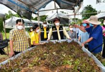 กรมส่งเสริมสหกรณ์ สนองพระราชดำริ สืบสาน รักษา ต่อยอด โครงการตามพระราชประสงค์หุบกะพง วันนี้ชาวบ้านใช้หลักสหกรณ์สร้างความกินดีอยู่ดี มีอาชีพและรายได้ที่มั่นคง