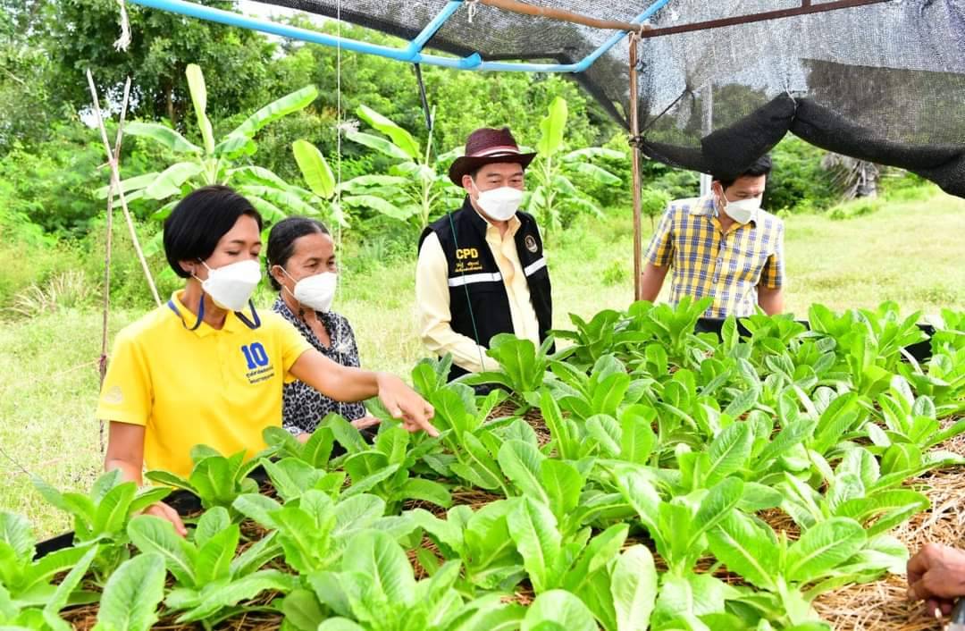 กรมส่งเสริมสหกรณ์ สนองพระราชดำริ สืบสาน รักษา ต่อยอด โครงการตามพระราชประสงค์หุบกะพง วันนี้ชาวบ้านใช้หลักสหกรณ์สร้างความกินดีอยู่ดี มีอาชีพและรายได้ที่มั่นคง