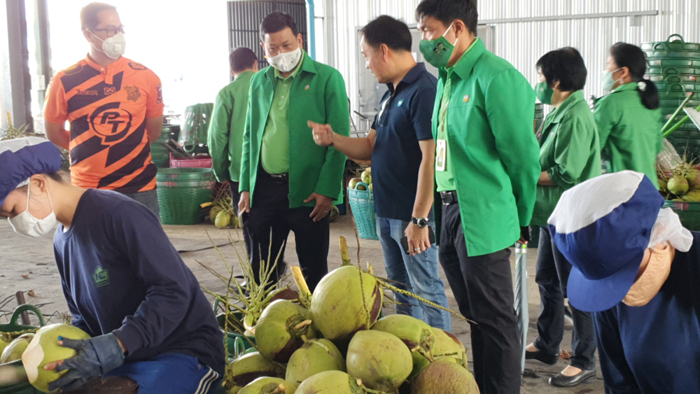 มะพร้าวน้ำหอมไทยชื่นใจทั่วโลก เอ็นซีโคโคนัทพัฒนาตัวเจาะมะพร้าวให้ดื่มได้ง่ายๆ