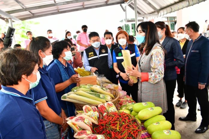 มนัญญา ลงพื้นที่สหกรณ์การเกษตรยางตลาด มอบโล่ประกาศเกียรติคุณให้กับสหกรณ์ต้นแบบ และร่วมแปรรูปผลผลิตทางการเกษตรตามโครงการแปรรูปสินค้าเกษตร