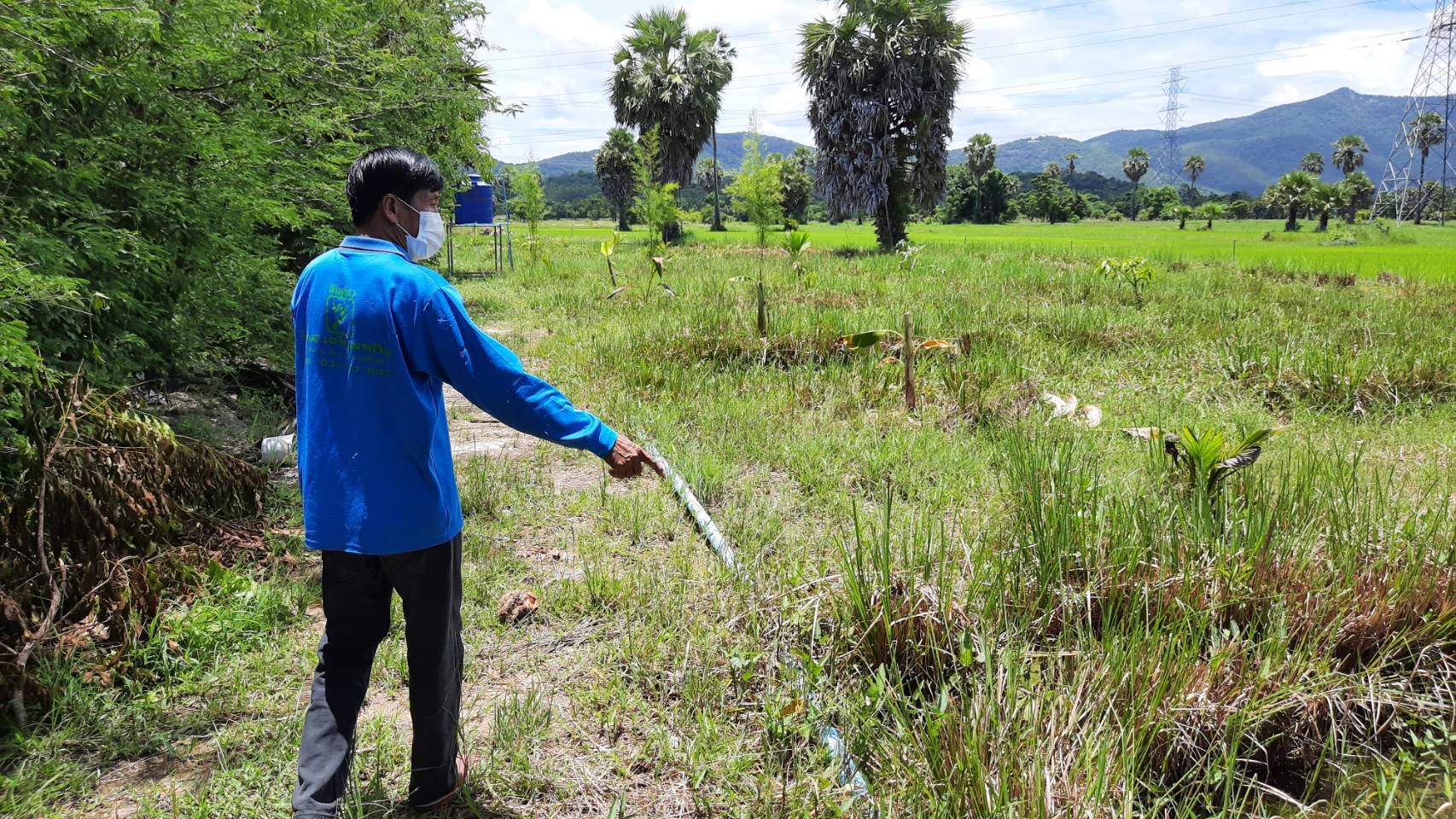 เกษตรทฤษฎีใหม่ สร้างเกษตรกรต้นแบบ พึ่งพาตนเอง มั่นคงด้านอาหาร มีกิน มีใช้ สร้างรายได้ตลอดปี 