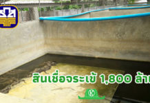 ธ.ก.ส.ขานรับนโยบายรัฐ จัดสินเชื่อดอกเบี้ยต่ำวงเงิน 1,800 ล้านบาท เสริมสภาพคล่อง ผู้เพาะเลี้ยงและผู้ประกอบการแปรรูปจระเข้