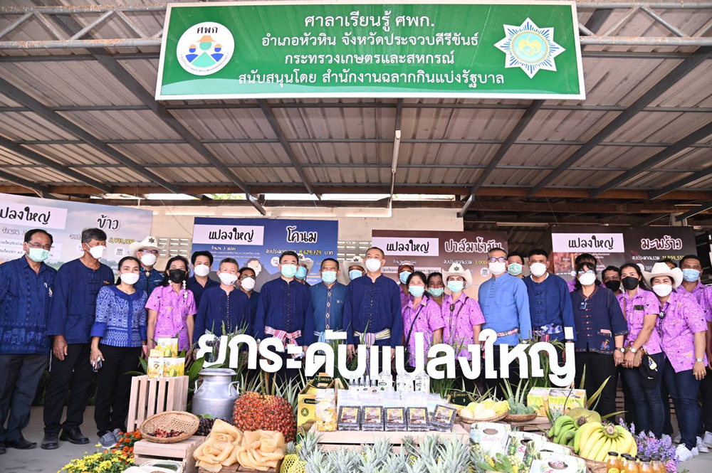 กระทรวงเกษตรฯ โชว์ผลสำเร็จโครงการยกระดับแปลงใหญ่ฯ จังหวัดประจวบคีรีขันธ์