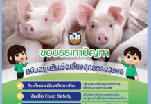 ธ.ก.ส. หนุนเลี้ยงหมูและเพิ่มผลผลิตอาหารสัตว์ เติม 30,000 ล้าน ผ่าน 3 สินเชื่อ