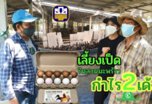 เกษตรกรนิวเจนฯ “น้องปาน” เลี้ยงเป็ดไก่ในสวนมะพร้าว ต่อยอดกิจการของพ่อแม่ ที่ อ.วัดเพลง จ.ราชบุรี