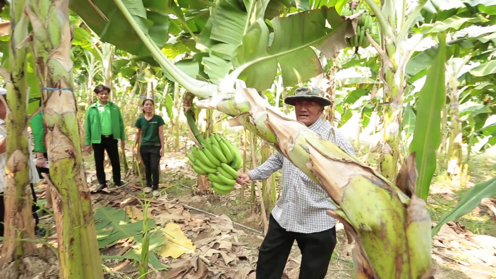 “เกษตรกรหญิงรุ่นใหม่” ประธานกลุ่มแม่บ้านเกษตรกรวัยหวาน นำความรู้คู่เทคโนโลยีพัฒนาธุรกิจแปรรูปผลิตภัณฑ์จากกล้วย ส่งต่อแรงบันดาลใจสู่ชุมชน