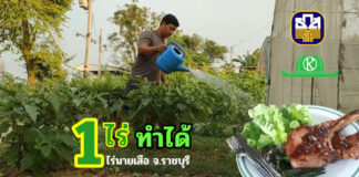 พื้นที่ 1 ไร่เศษเสือดิ้นได้ “ไร่นายเสือ” ปลูกผักขายได้ทั้งปี มีร้านสเต็กเสริม ธ.ก.ส.ช่วยให้ไปต่อได้