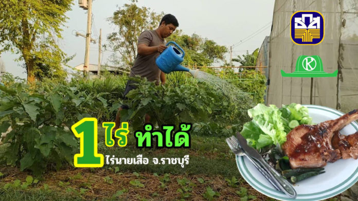 พื้นที่ 1 ไร่เศษเสือดิ้นได้ “ไร่นายเสือ” ปลูกผักขายได้ทั้งปี มีร้านสเต็กเสริม ธ.ก.ส.ช่วยให้ไปต่อได้