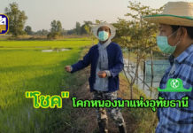 “โชค-โคกหนองนา” Smart New Gen อุทัยธานี กับข้อแนะนำดีๆเพื่อคนอยากทำเกษตร