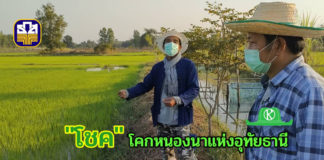 “โชค-โคกหนองนา” Smart New Gen อุทัยธานี กับข้อแนะนำดีๆเพื่อคนอยากทำเกษตร