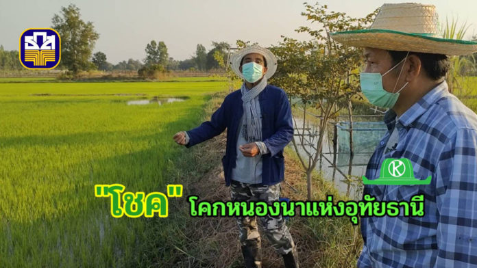 “โชค-โคกหนองนา” Smart New Gen อุทัยธานี กับข้อแนะนำดีๆเพื่อคนอยากทำเกษตร